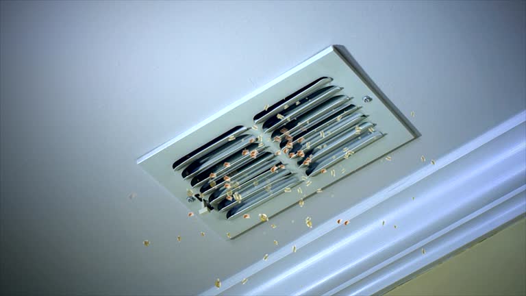 Best Duct Cleaning for Homes  in Picture Rocks, AZ