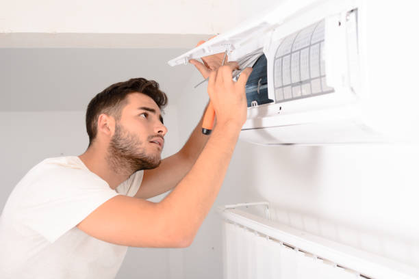 Air Duct Mold Removal in Picture Rocks, AZ